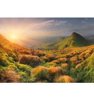 Fototapet vlies: Pajiște de munte la răsăritul soarelui - 368x254 cm