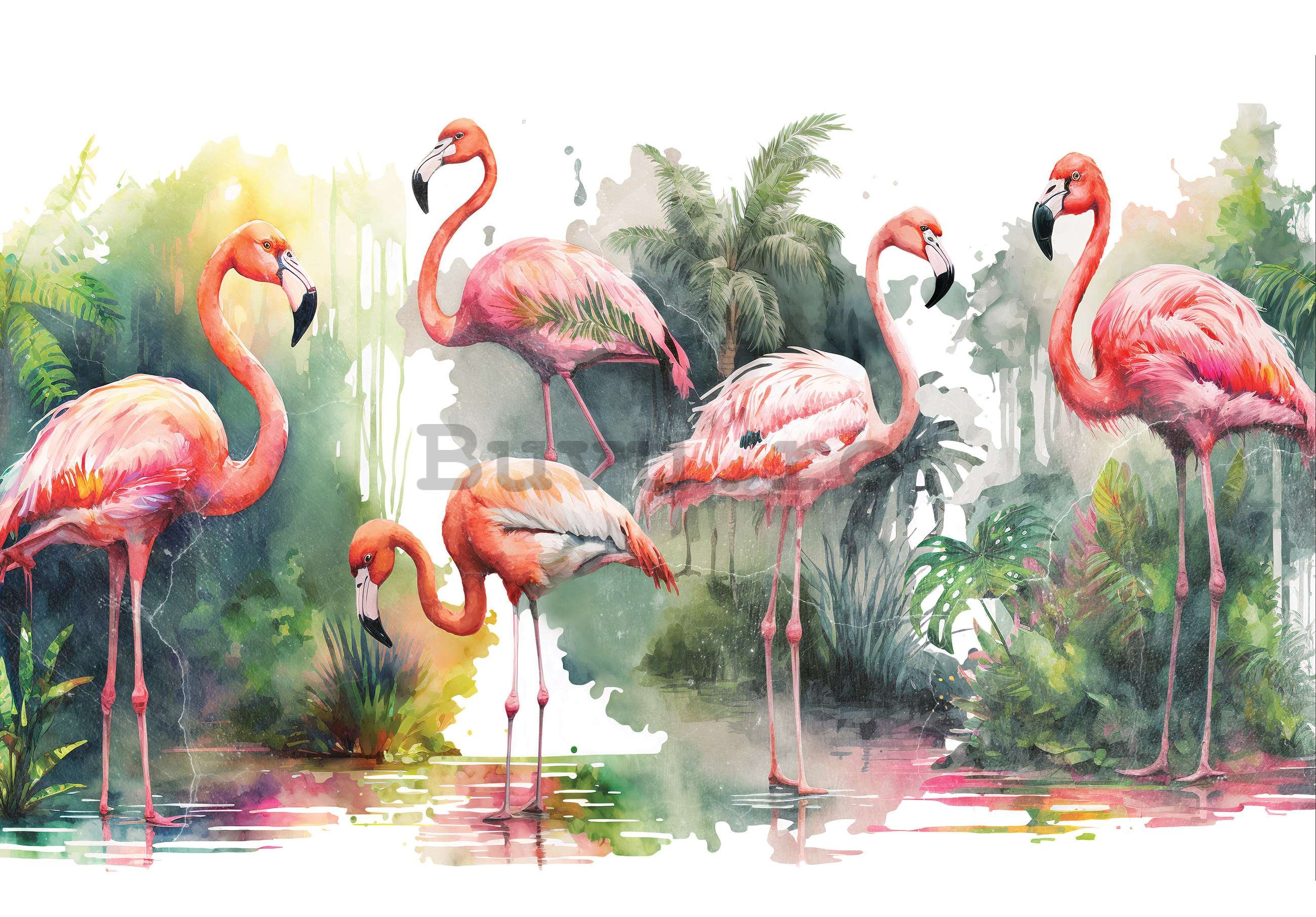 Fototapet vlies: Flamingo în natură - 416x254 cm