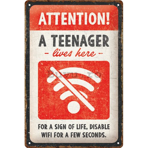 Placă metalică: Teenager Wifi - 30x20 cm