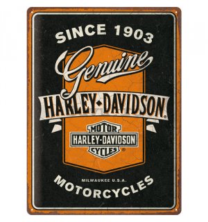 Placă metalică: Harley-Davidson - Genuine Motorcycles Ribbon - 40x30 cm
