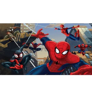 Fototapet vlies: Spiderman (2) - 152,5x104cm
