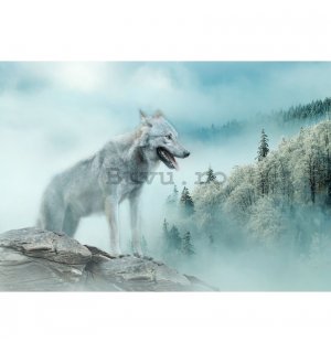 Fototapet vlies: Nature forest wolf snow - 254x184 cm