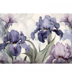 Fototapet vlies: Nature Flowers Modern Romantic Iris - 254x184 cm