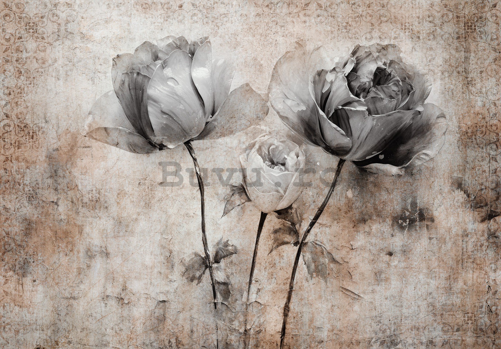 Fototapet vlies: Flowers Roses Structure (1) - 254x184 cm