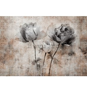 Fototapet vlies: Flowers Roses Structure (1) - 254x184 cm