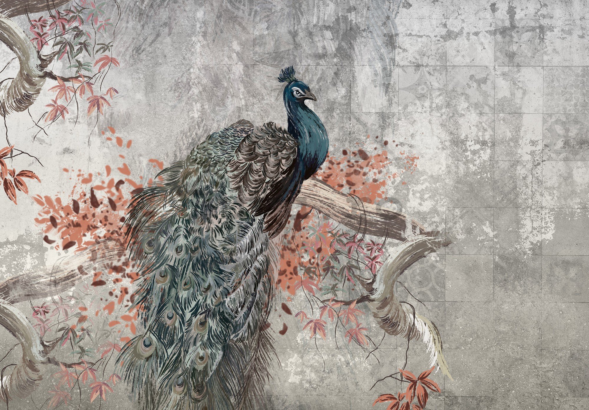 Fototapet vlies: Peacock - 254x184 cm