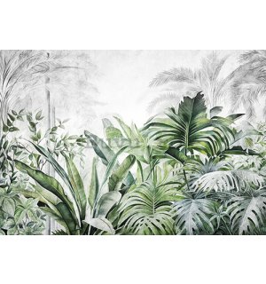 Fototapet vlies: Nature Leaves Exotic Jungle (1) - 254x184 cm