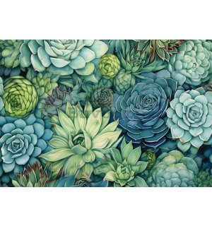 Fototapet vlies: Succulents - 368x254 cm