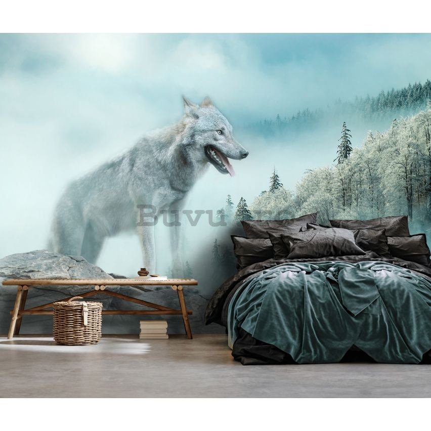 Fototapet vlies: Nature forest wolf snow -152,5x104 cm