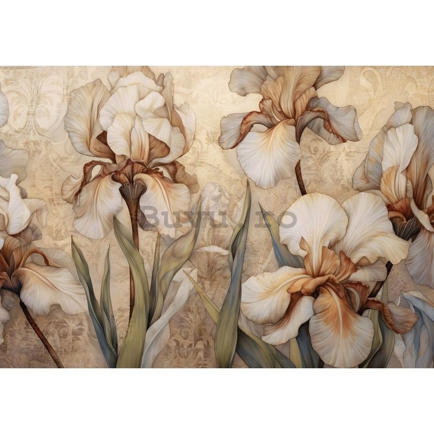 Fototapet vlies: Nature Flowers Modern Iris -152,5x104 cm