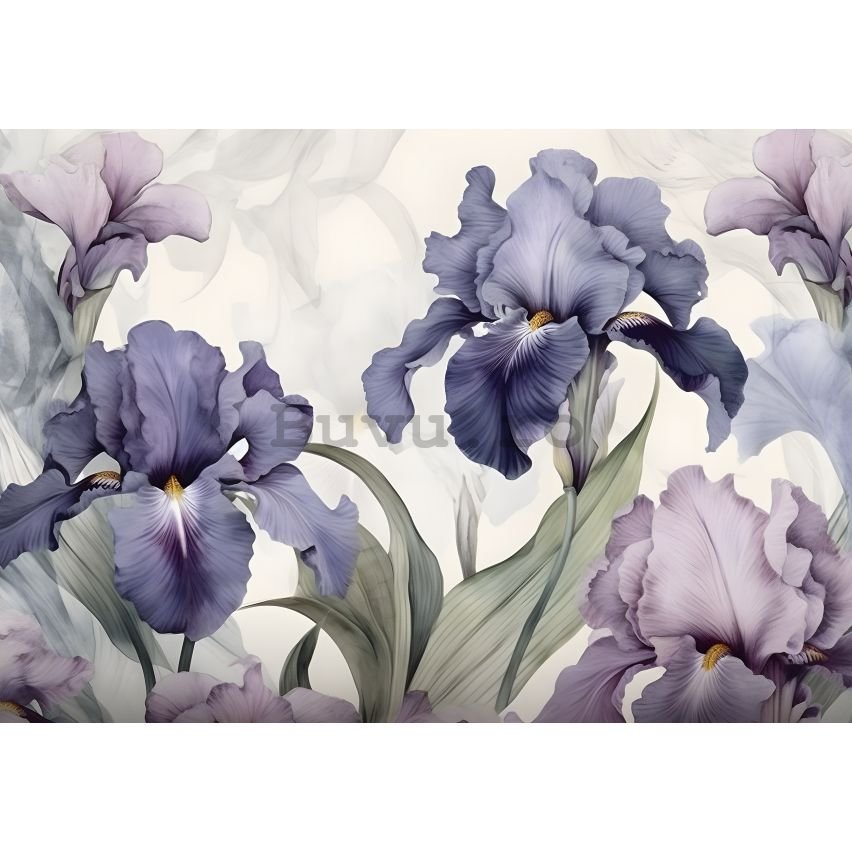 Fototapet vlies: Nature Flowers Modern Romantic Iris -152,5x104 cm