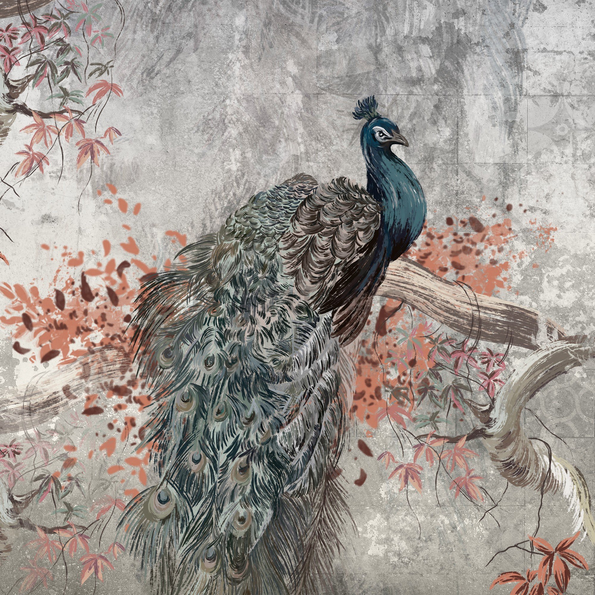 Fototapet vlies: Peacock -152,5x104 cm