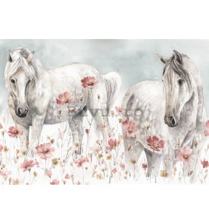 Fototapet vlies: Horses - 104x70,5 cm