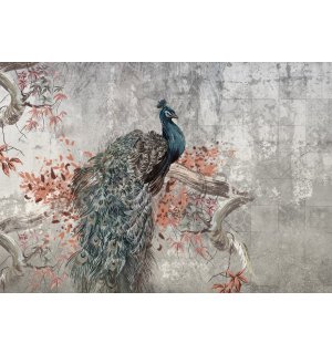 Fototapet vlies: Peacock - 104x70,5 cm