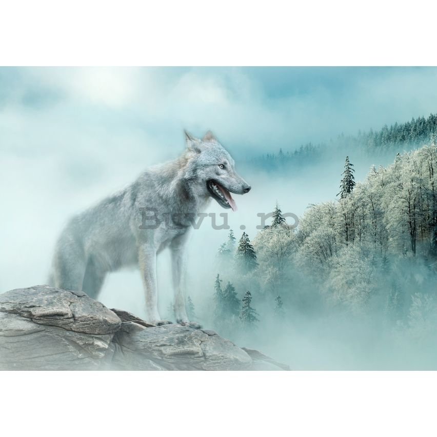 Fototapet vlies: Nature forest wolf snow - 208x146 cm