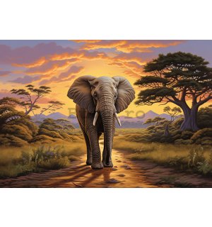 Fototapet vlies: Animals Elephant Safari - 208x146 cm