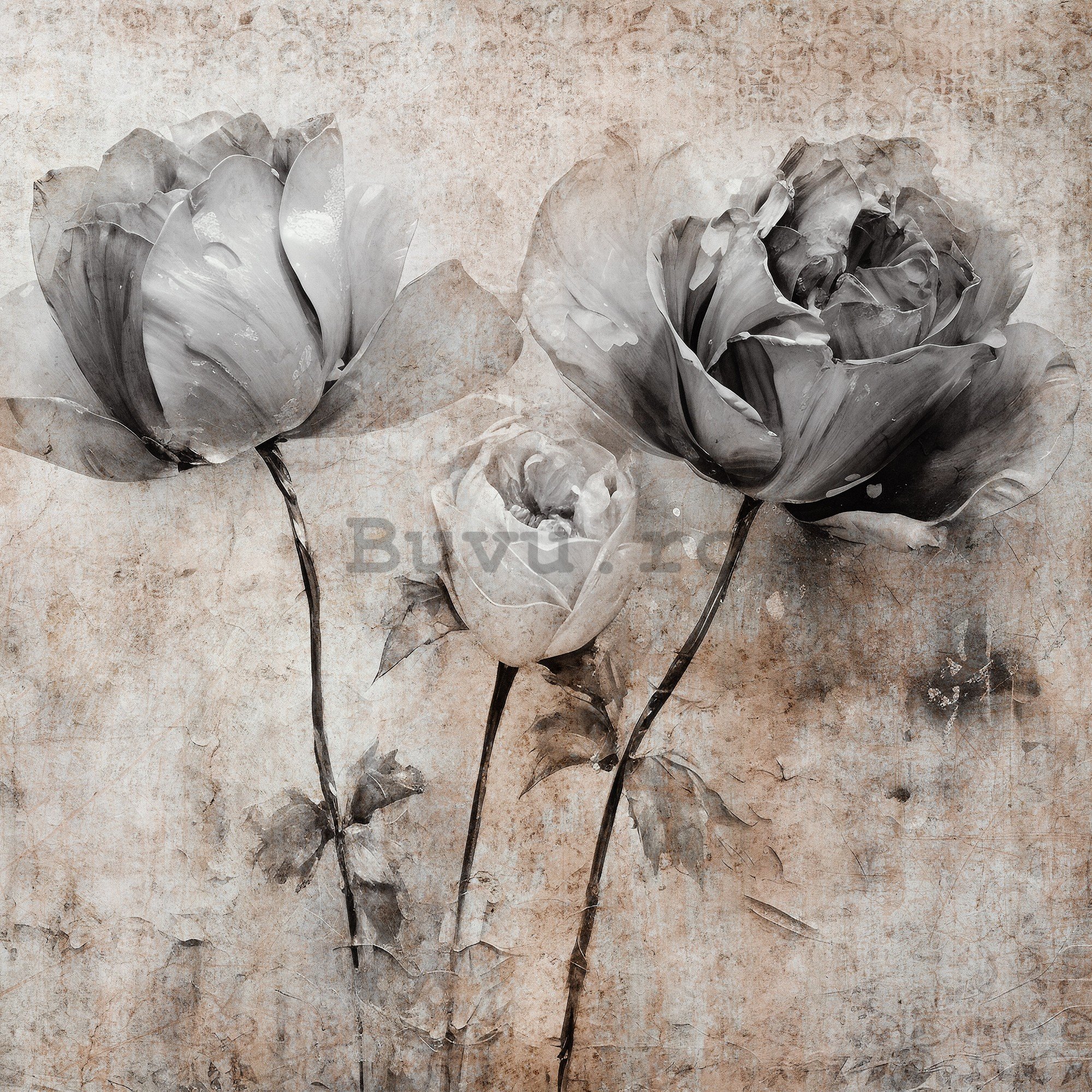Fototapet vlies: Flowers Roses Structure (1) - 312x219cm