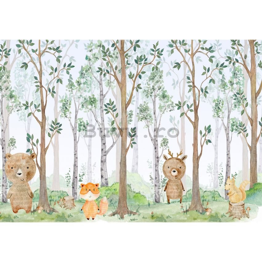 Fototapet vlies: For kids forest animals - 416x254 cm