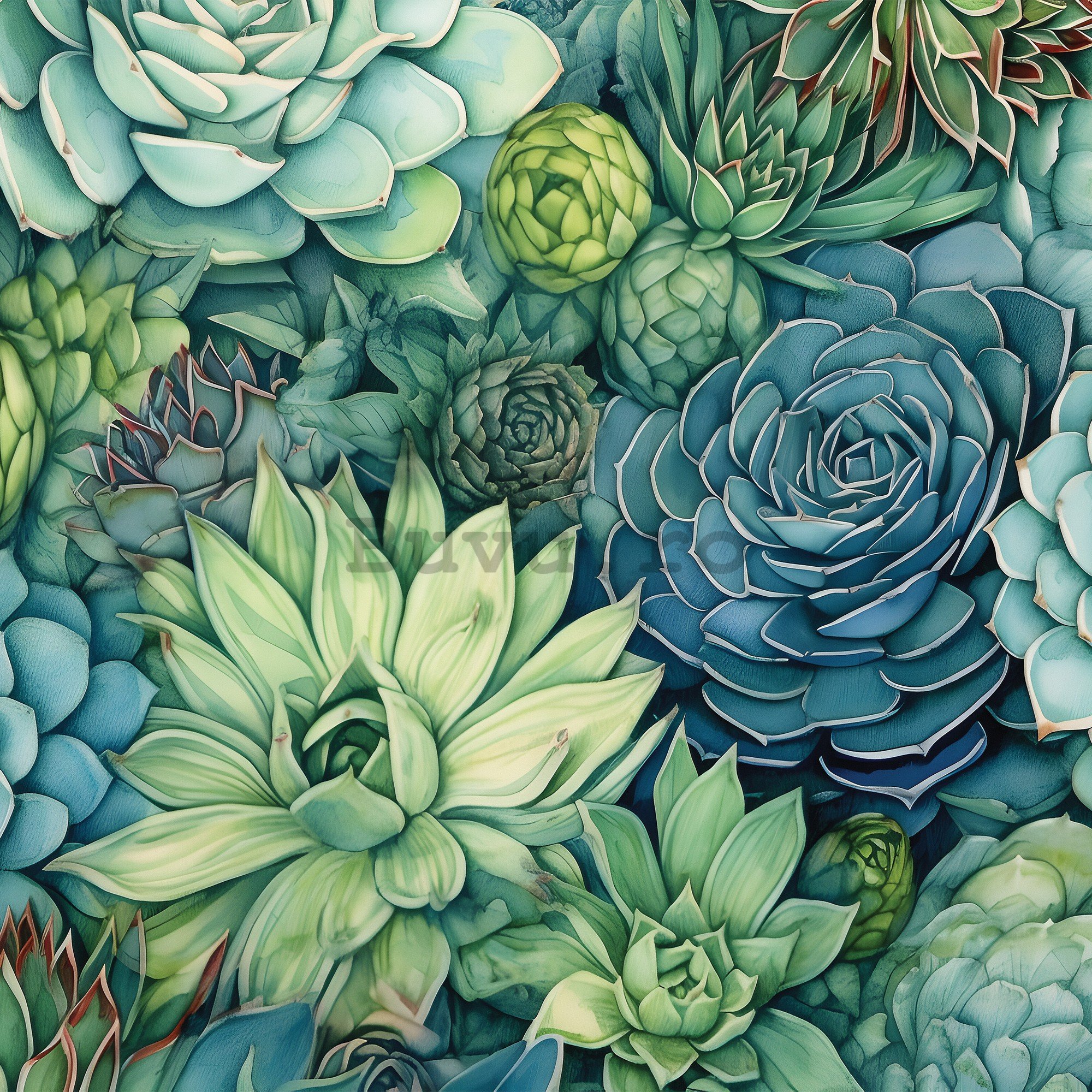 Fototapet vlies: Succulents - 416x254 cm