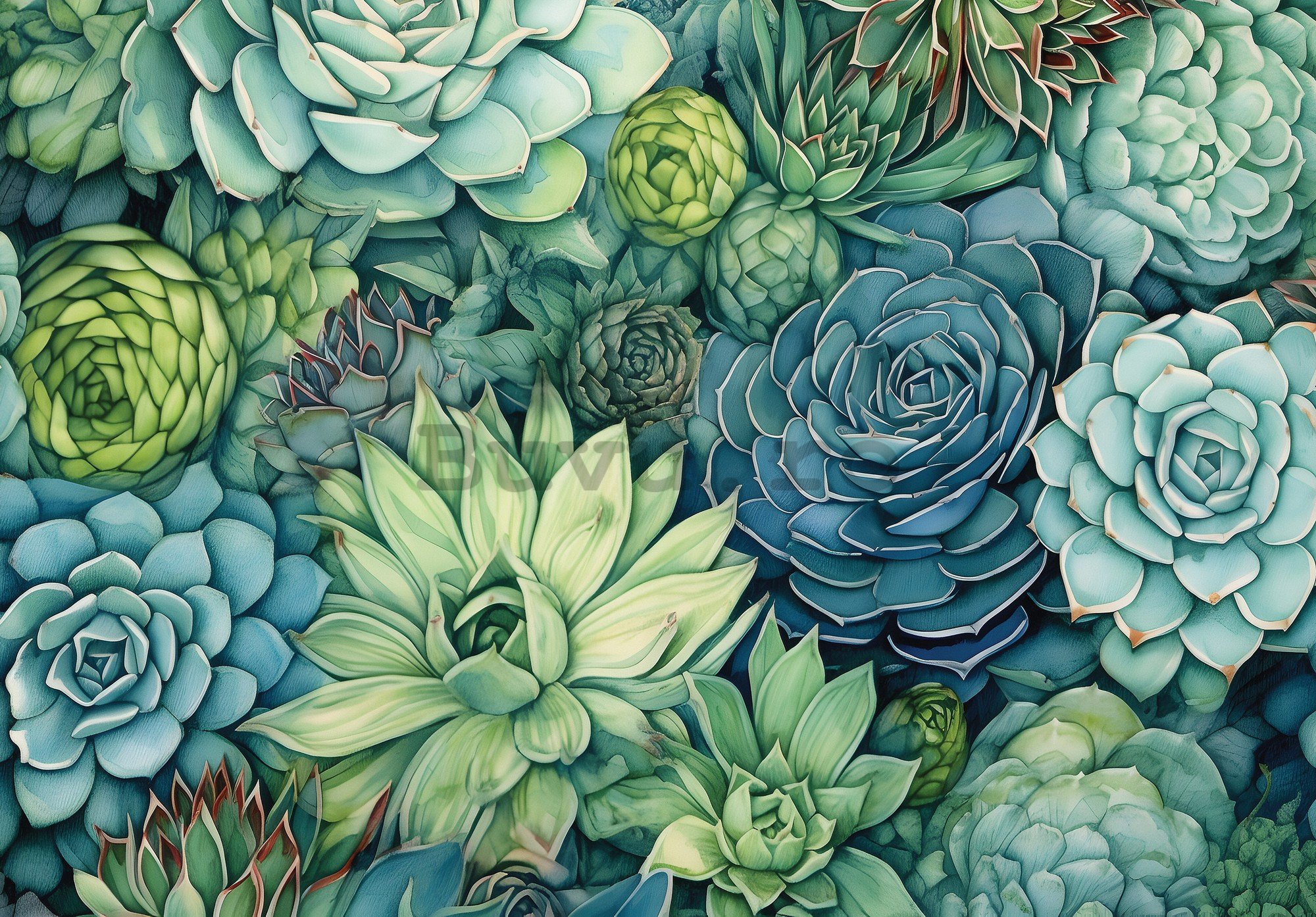 Fototapet vlies: Succulents - 416x254 cm