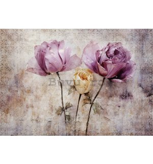 Fototapet vlies: Flowers Roses Structure - 416x254 cm