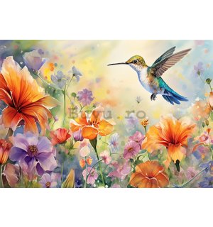 Fototapet vlies: Hummingbird - 416x254 cm